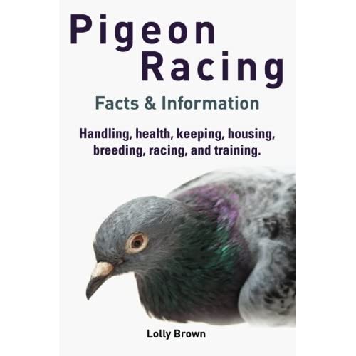 racing pigeon software